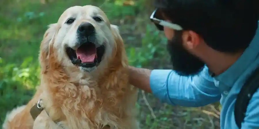 Personalized Dog Care Plan Generator