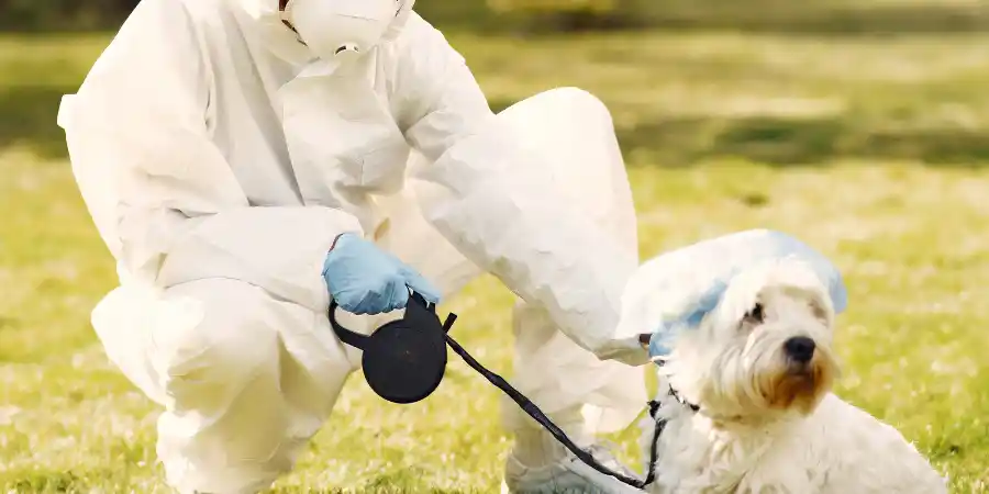 how can i give my dog oxygen at home