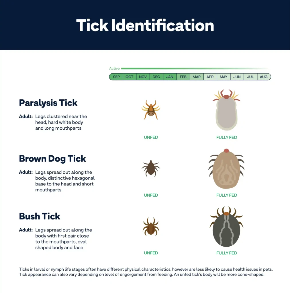 Tick-identification chart