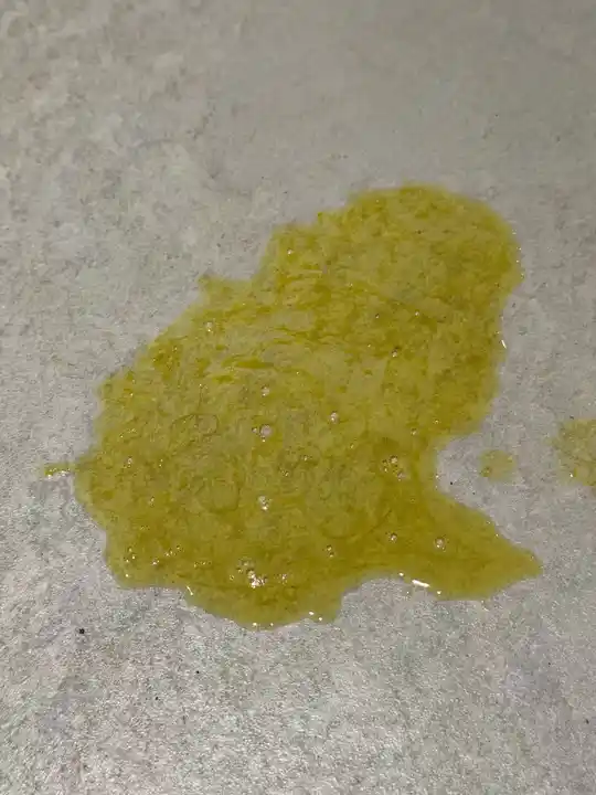 My Dog is vomiting Yellow Foam