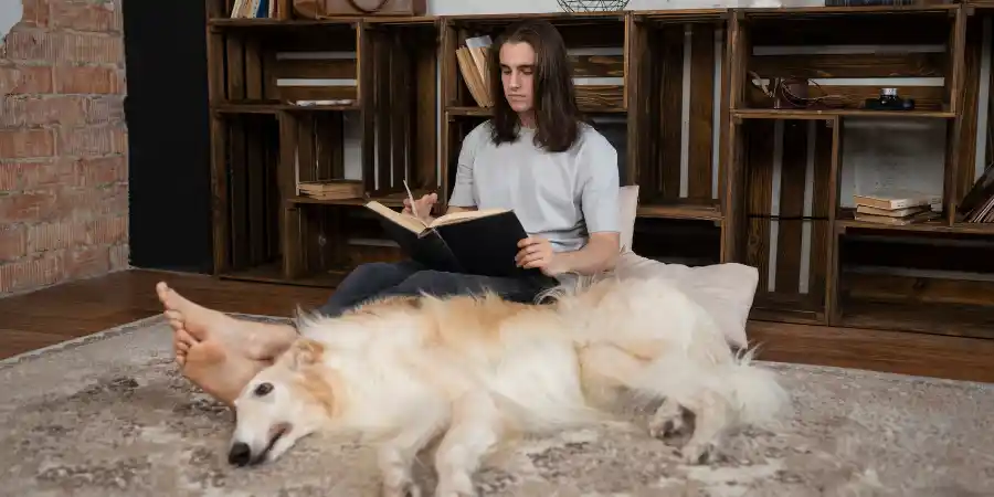 When Is It Time to Put a Dog Down A Compassionate Guide to Making This Difficult Decision