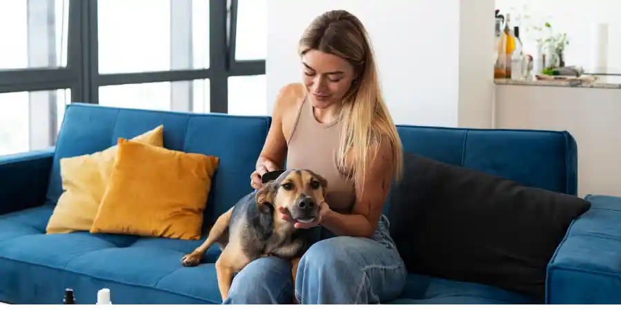 Dog Fever Symptoms How to Check at Home