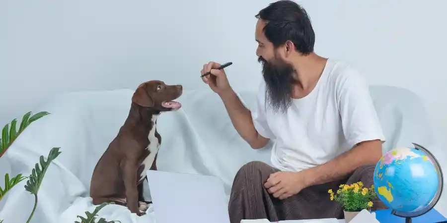 Dog Illness Guide for Pet Owners