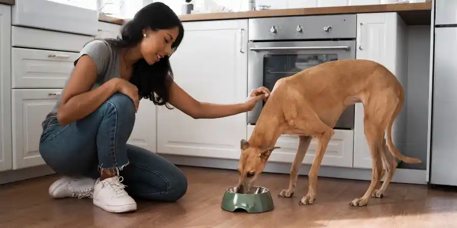 how can i stop my dog from eating everything